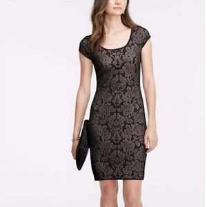Ann Taylor Knit Dress